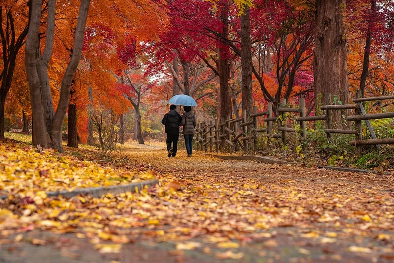 Nature Path Stroll